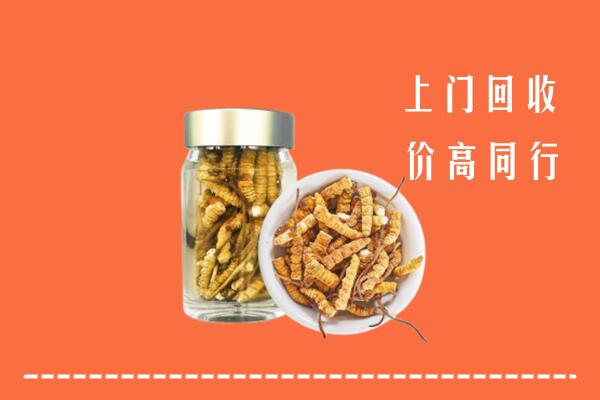 天津回收冬虫夏草
